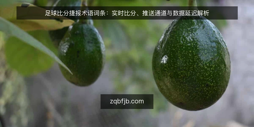 足球比分捷报术语词条:实时比分、推送通道与数据延迟解析 — 足球比分捷报是什么? 配图